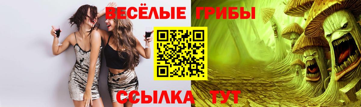 Галлюциногенные грибы Psilocybine cubensis Уссурийск